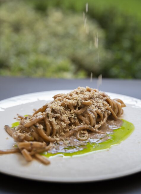 excellent dish with pasta