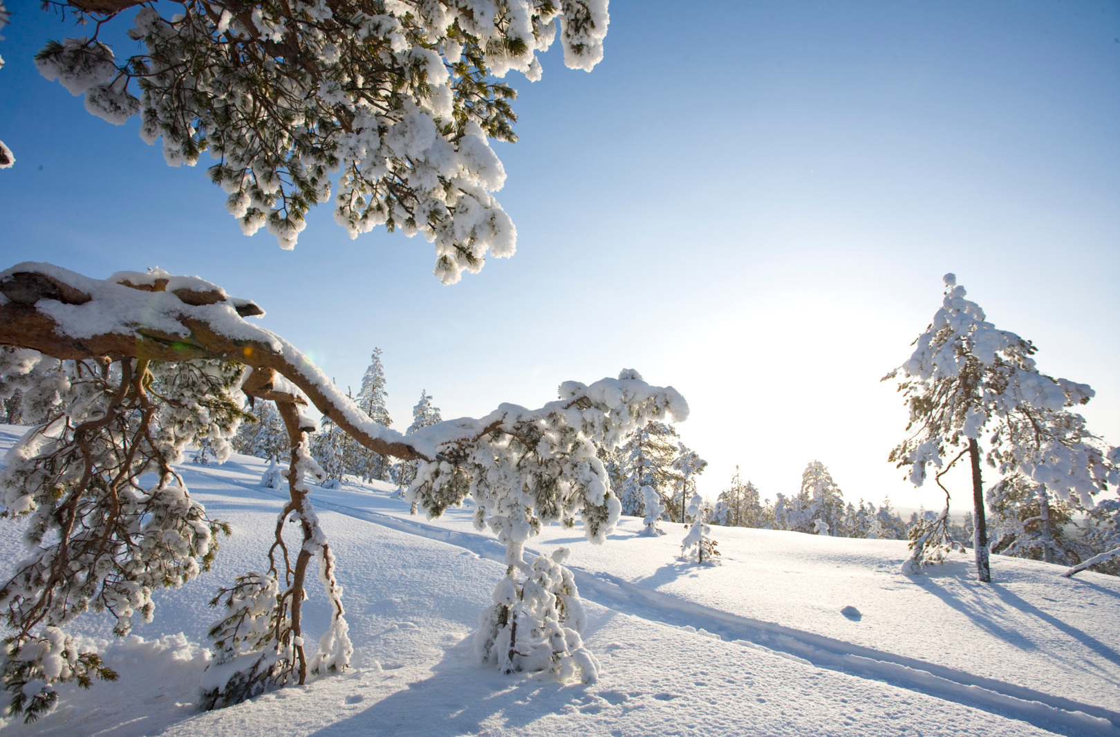 Pure white snow in Rovaniemi Lapland ©Visit Rovaniemi (Rovaniemi Tourism &amp; Marketing Ltd.