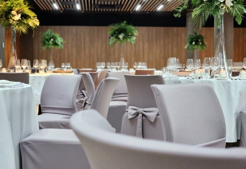 A View of Chairs Decorated with Elegant Bows
