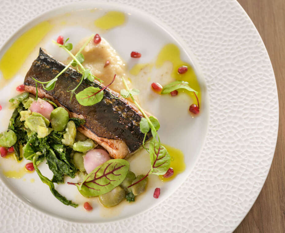 Spanish restaurant in Kraków with a unique atmosphere and authentic dishes.