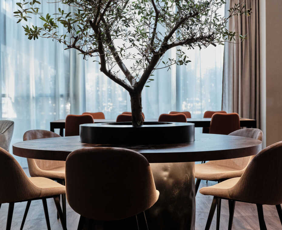 Restaurant by the Kraków Błonia – a blend of taste and beautiful views of green areas.