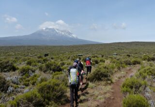 Group of hikers trekking through green shrubland toward a snow-capped mountain under clear blue sky