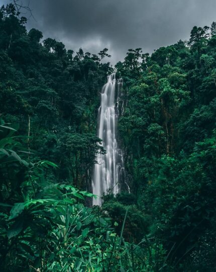 Tall waterfall cascading through dense lush green rainforest under a moody cloudy sky, ideal for nature escapes and eco-adventures