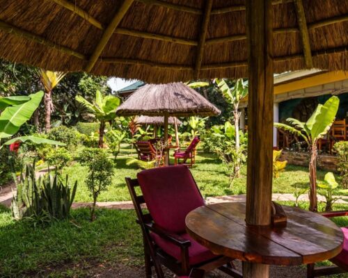 Shaded outdoor seating area with thatched umbrellas and red cushioned chairs surrounded by lush tropical garden at the hotel