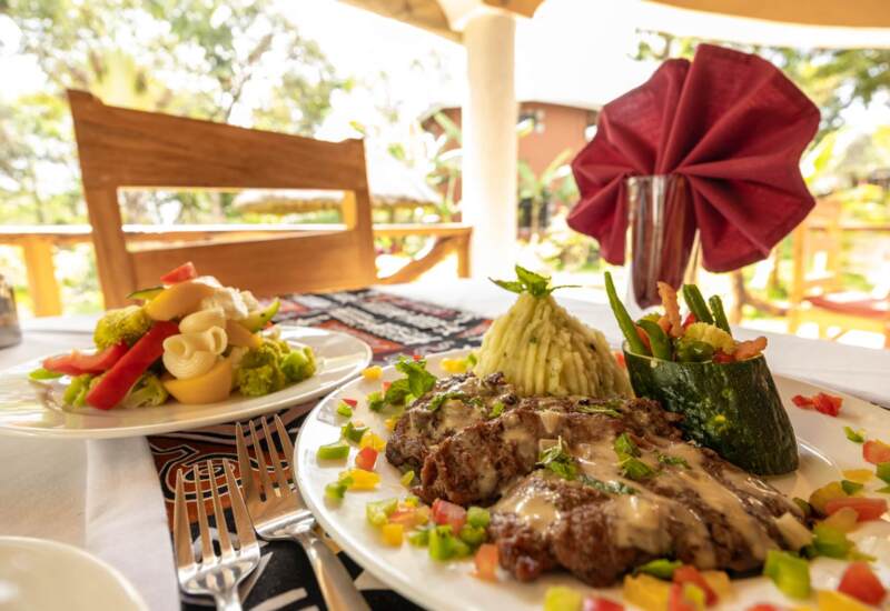 Grilled steak with creamy sauce, mashed potatoes, and vegetable garnish served on a table with outdoor wooden chair and red napkin