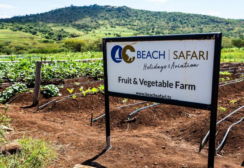 Sign for Beach Safari's fruit and vegetable farm with irrigated rows and green crops against a hill backdrop
