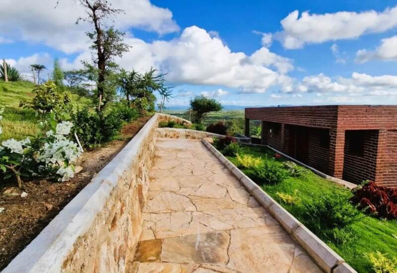 Stone walkway bordered by lush greenery and flowering plants leading to modern brick hotel building under a bright blue sky