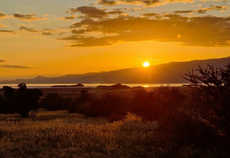 Golden sunset over a tranquil coastal landscape with mountains and scattered trees, ideal for peaceful nature retreats