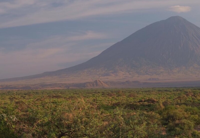 Expansive savannah landscape with a towering mountain in the distance under a soft afternoon sky
