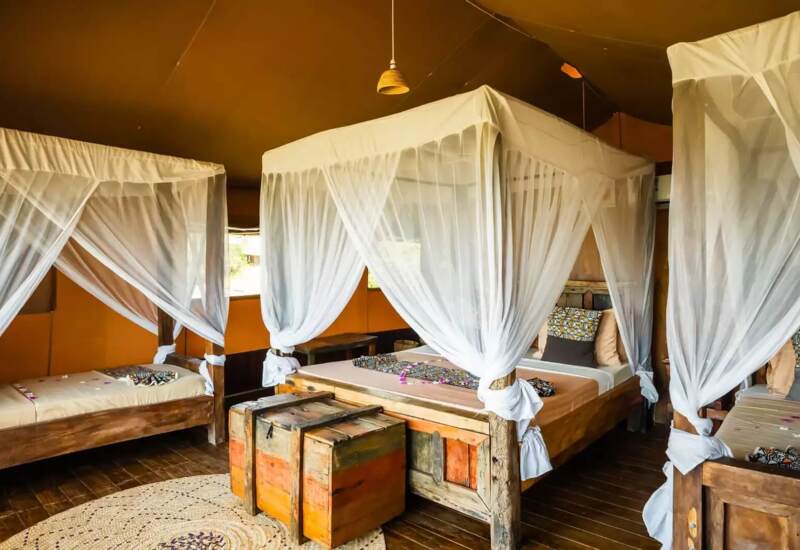 Rustic tented room with three wooden canopy beds draped in white mosquito nets, patterned pillows, and warm earth tones