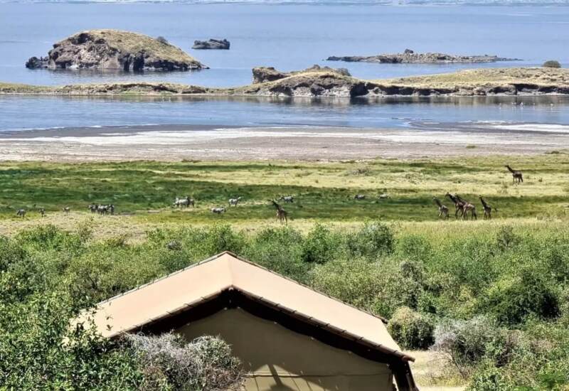 Safari tent lodge overlooking green plains with giraffes and zebras near a calm lake with rocky islands in the distance