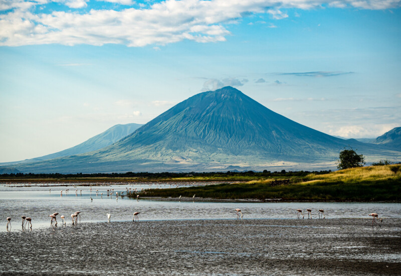 Scenic lake with flamingos feeding in shallow water and a towering green mountain under a partly cloudy sky