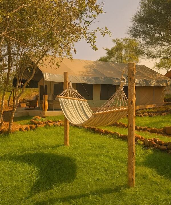 Safari canvas tents with verandas and a hammock between wooden posts on a sunlit grassy lawn shaded by trees