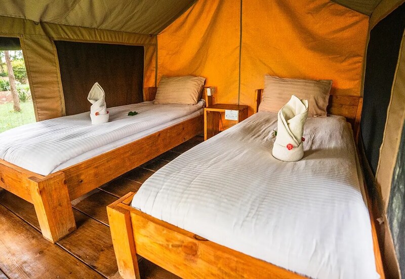 Twin wooden-frame beds with white linens and towel sculptures inside a canvas glamping tent, bedside table and garden view.