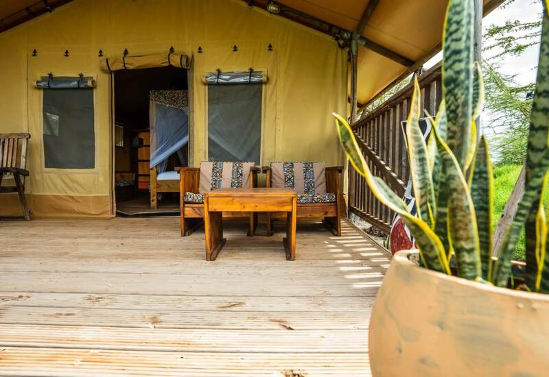 Sunlit tented safari suite veranda with rustic wooden chairs and table, potted plant and bed with mosquito net.