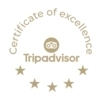 Gold TripAdvisor 'Certificate of Excellence' badge with owl logo and five stars