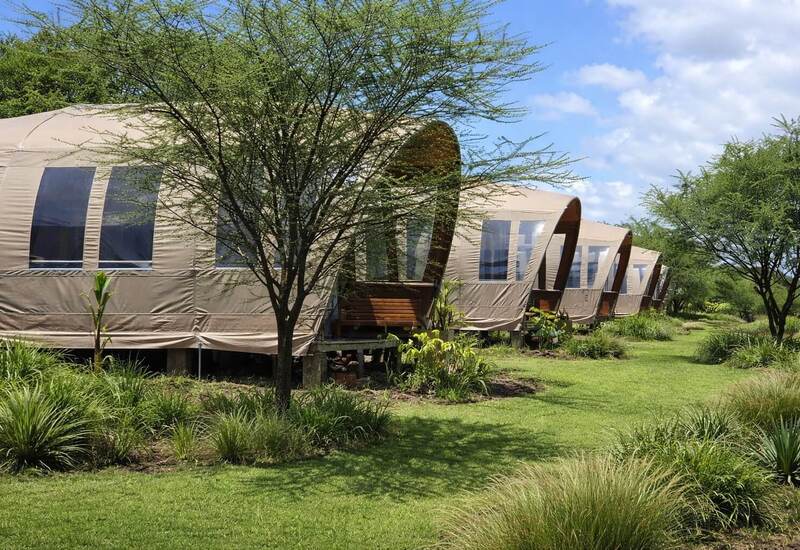 Canvas glamping tents on raised wooden decks with panoramic windows, set in landscaped lawns and trees for peaceful outdoor stays