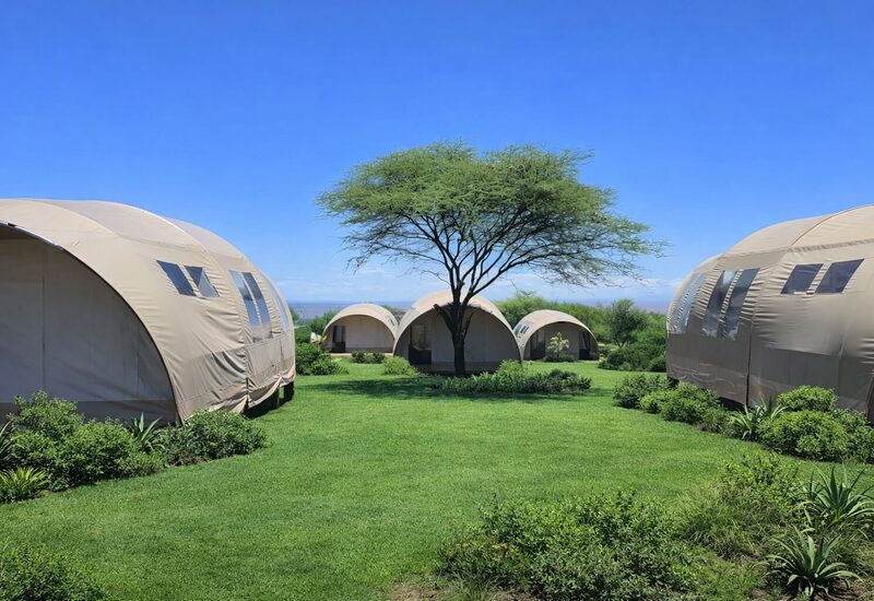 Cluster of beige tented glamping suites on a manicured lawn around a shady acacia tree, clear blue sky and distant savanna-like views