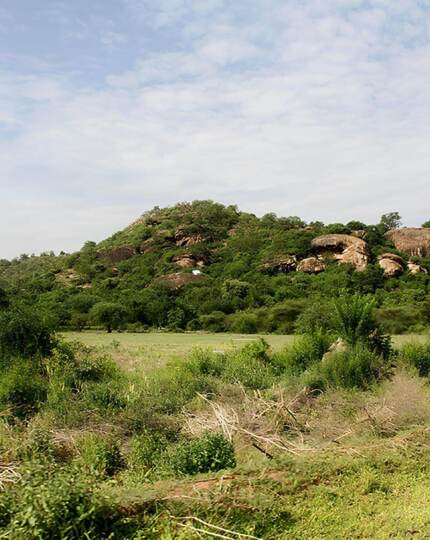 Lush green landscape with a rocky hill under a partly cloudy blue sky, ideal for nature walks and outdoor adventures
