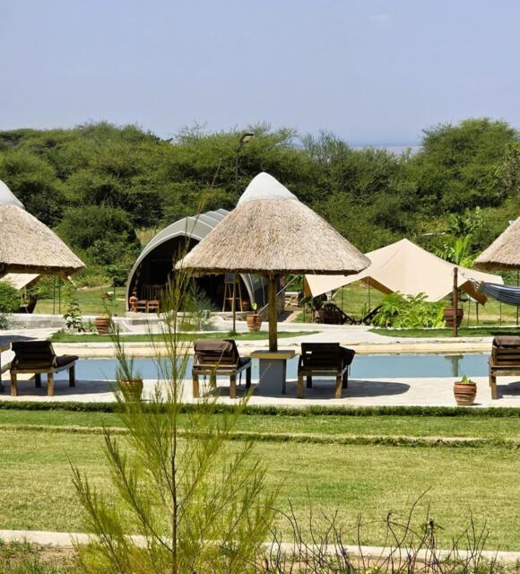 Outdoor pool area with thatched umbrellas, wooden lounge chairs, grassy lawn, and rustic cabin tents surrounded by greenery