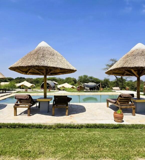 Outdoor pool area with wooden loungers under large thatched umbrellas, surrounded by tents and greenery under a clear blue sky