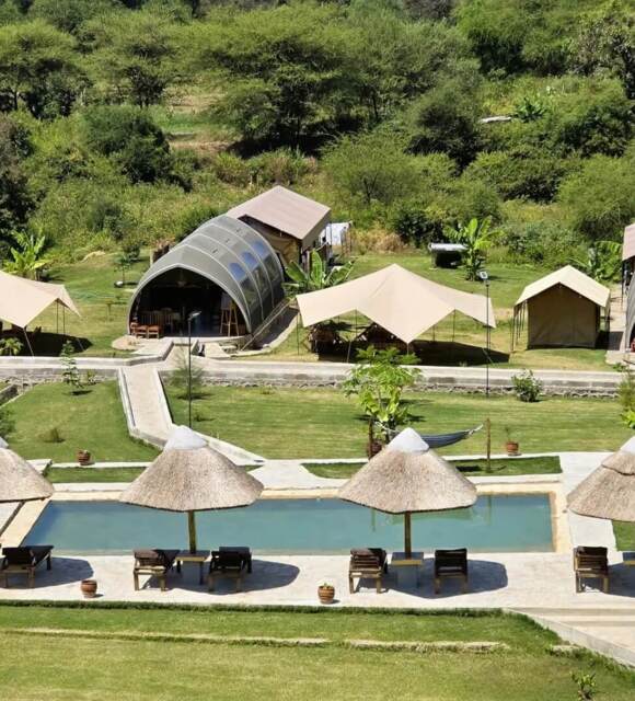 Eco-friendly lodge with thatched umbrellas beside a rectangular pool, outdoor seating tents, and lush green surroundings in a forested area.