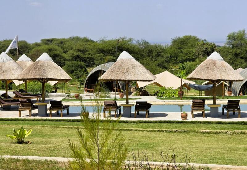 Outdoor pool area with thatched umbrellas, wooden lounge chairs, grassy lawn, and rustic cabin tents surrounded by greenery