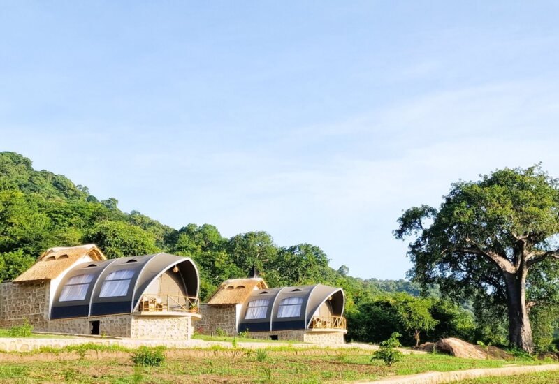 Eco-friendly stone cottages with curved roofs and balconies nestled in a lush green hillside surrounded by trees