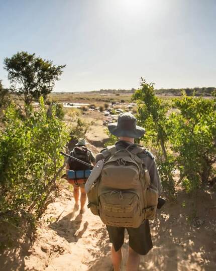 Guests on an adventurous guided safari walk through dry terrain with dense green bushes under a sunny sky