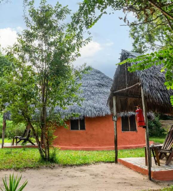 Rustic thatched-roof cottages surrounded by lush greenery with outdoor wooden chairs on tiled patios for relaxing
