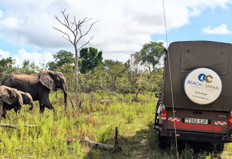 Safari vehicle parked in grassy savanna with two elephants walking nearby under a partly cloudy blue sky