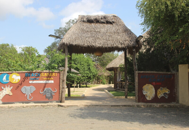 Entrance to a safari camp with traditional thatched roofs, surrounded by lush greenery and wildlife-themed murals at the gate