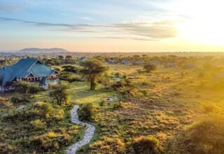 Safari lodge with green roofs set in a vast savannah at sunrise, featuring a winding stone path and scattered guest tents