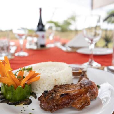 Grilled chicken with white rice and garnished carrot sticks on a white plate, set on a table with wine and glassware outdoors