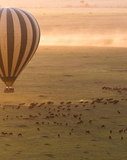 Hot air balloon ride over a vast savannah with large herds of grazing animals at sunrise, showcasing a safari experience