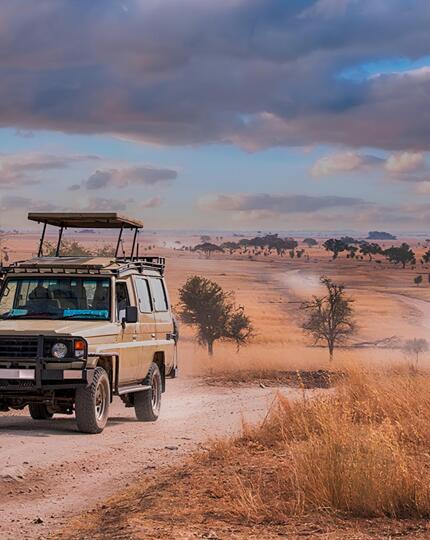 Safari vehicle driving on a dusty dirt road through an open savannah with scattered trees under a cloudy sky
