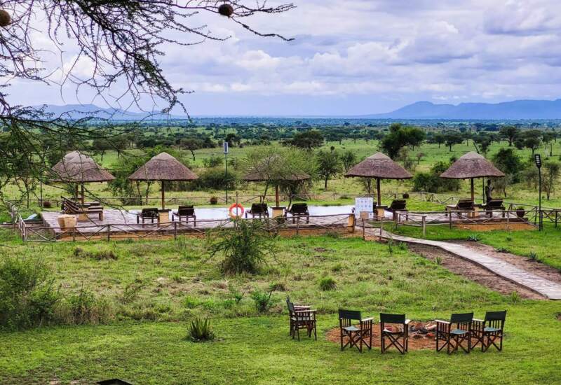Outdoor pool area with shaded lounge chairs and thatched umbrellas overlooking expansive green savannah and distant mountains