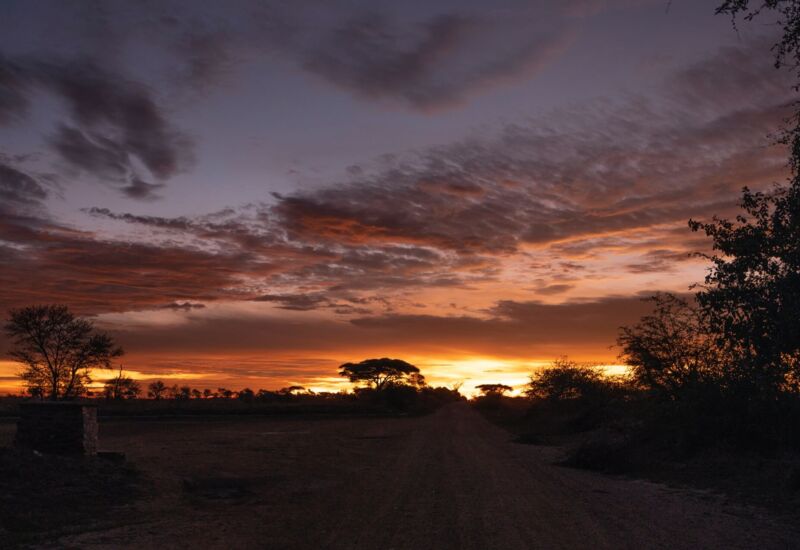 Sunset over a savannah landscape with scattered trees and a dirt path, evoking a tranquil, natural retreat experience