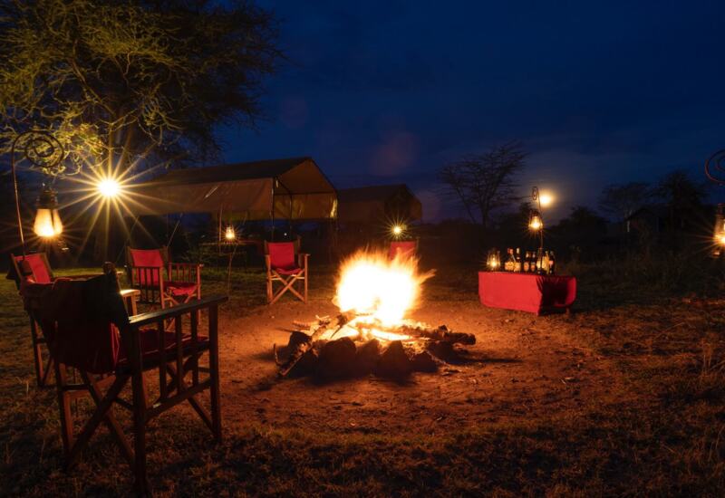 Nighttime outdoor safari campfire with wooden chairs, lanterns, and a table with drinks under a deep blue sky and moonlight