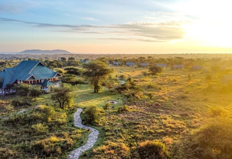 Safari lodge with green roofs set in a vast savannah at sunrise, featuring a winding stone path and scattered guest tents