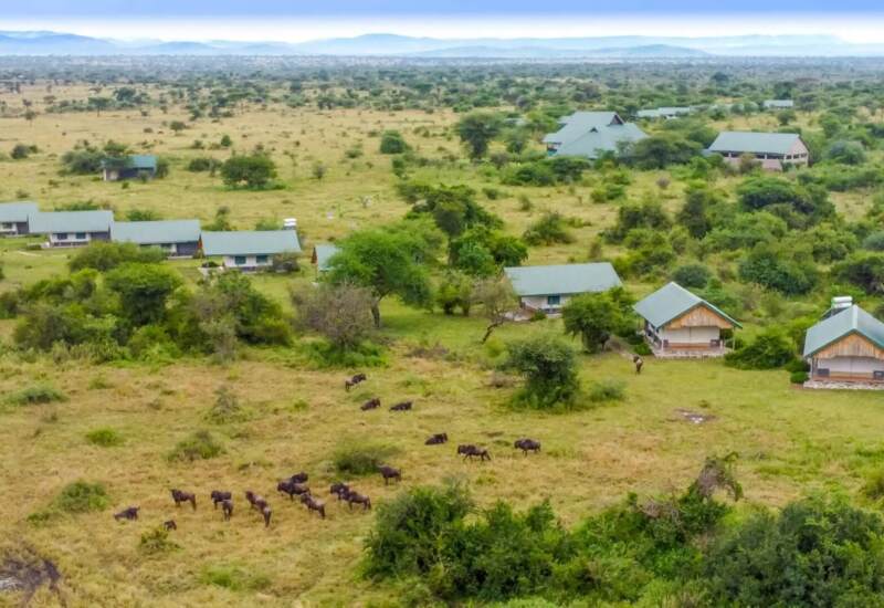 Safari lodge with multiple tented cabins featuring green roofs, set in lush grassland with wildlife grazing nearby