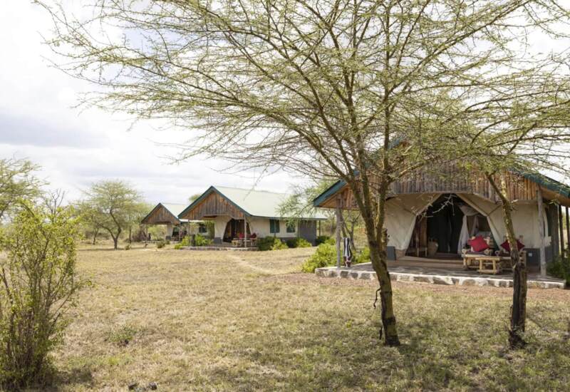 Rustic safari tents with wooden accents and outdoor seating nestled in a dry, open savannah landscape under scattered trees