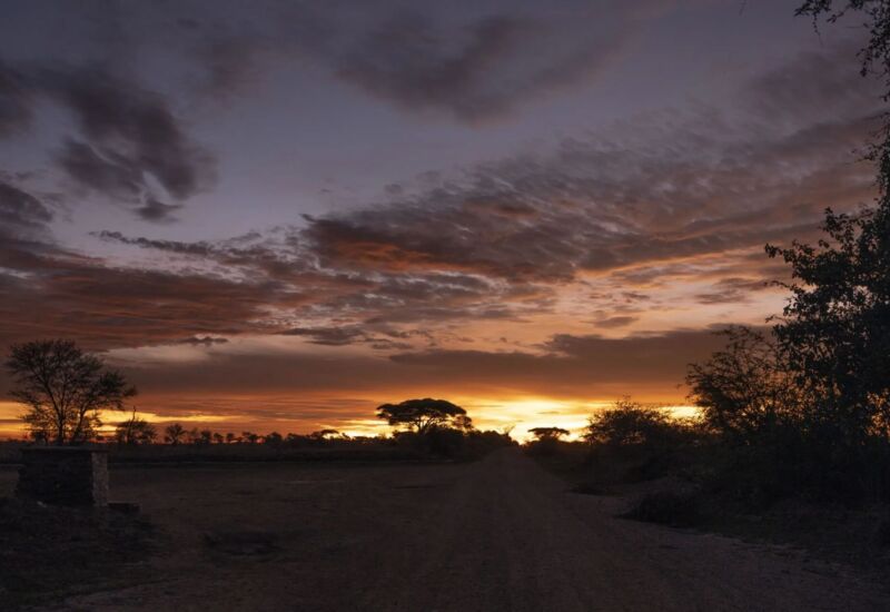 Serene sunset over a savanna landscape with scattered trees silhouetted against a colorful sky