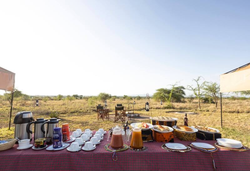 Outdoor breakfast buffet with hot drinks, fresh breads, and juices set on a plaid tablecloth amid open savannah landscape, with chairs nearby.