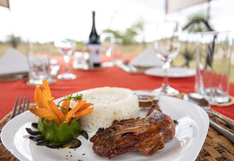 Grilled chicken with white rice and garnished carrot sticks on a white plate, set on a table with wine and glassware outdoors