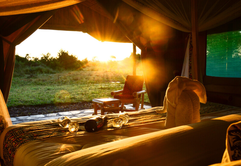 Sunlit safari tent bedroom with cozy bed, wine bottle and glasses, towel art, and outdoor seating overlooking grassy landscape