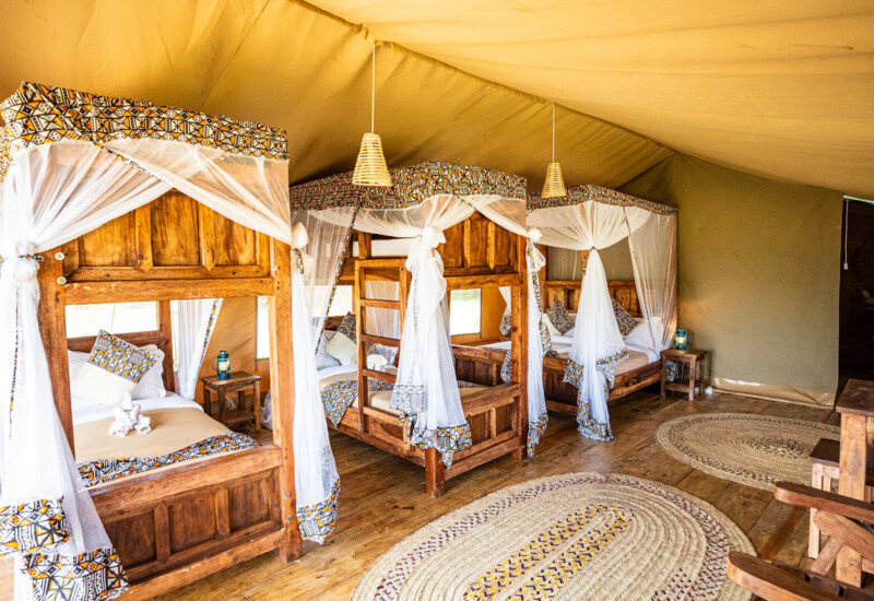 Spacious safari-style tent with three wooden canopy beds draped in white mosquito nets and patterned fabric accents