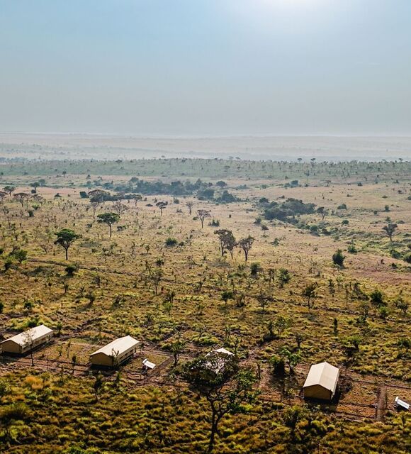 Aerial view of a remote safari camp with canvas tents on golden African savanna, scattered acacia trees and wide horizon
