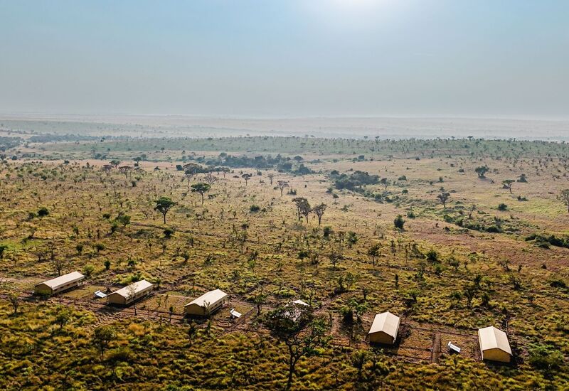 Aerial view of a remote safari camp with canvas tents on golden African savanna, scattered acacia trees and wide horizon
