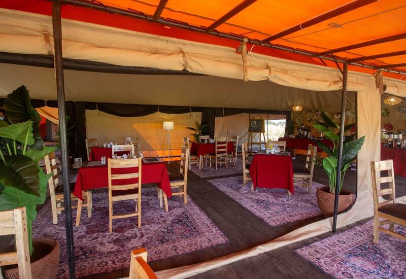 Open-sided safari dining tent with orange canopy, wooden chairs, red tablecloths, patterned rugs, potted plants and a buffet coffee station